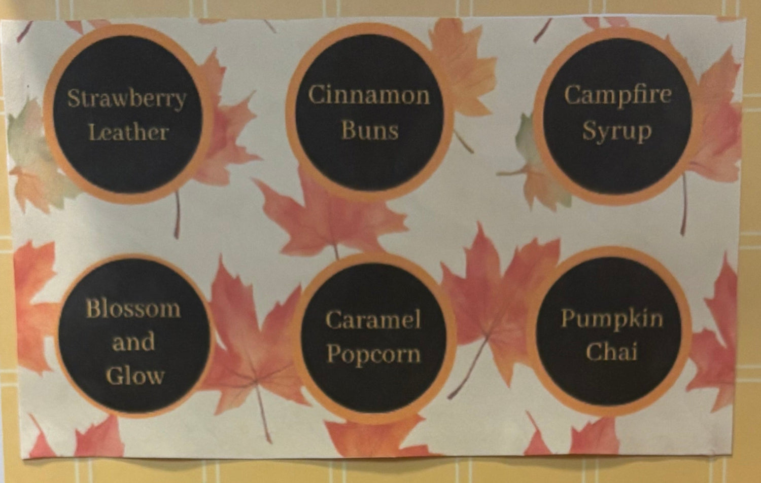 Fall Sample Set