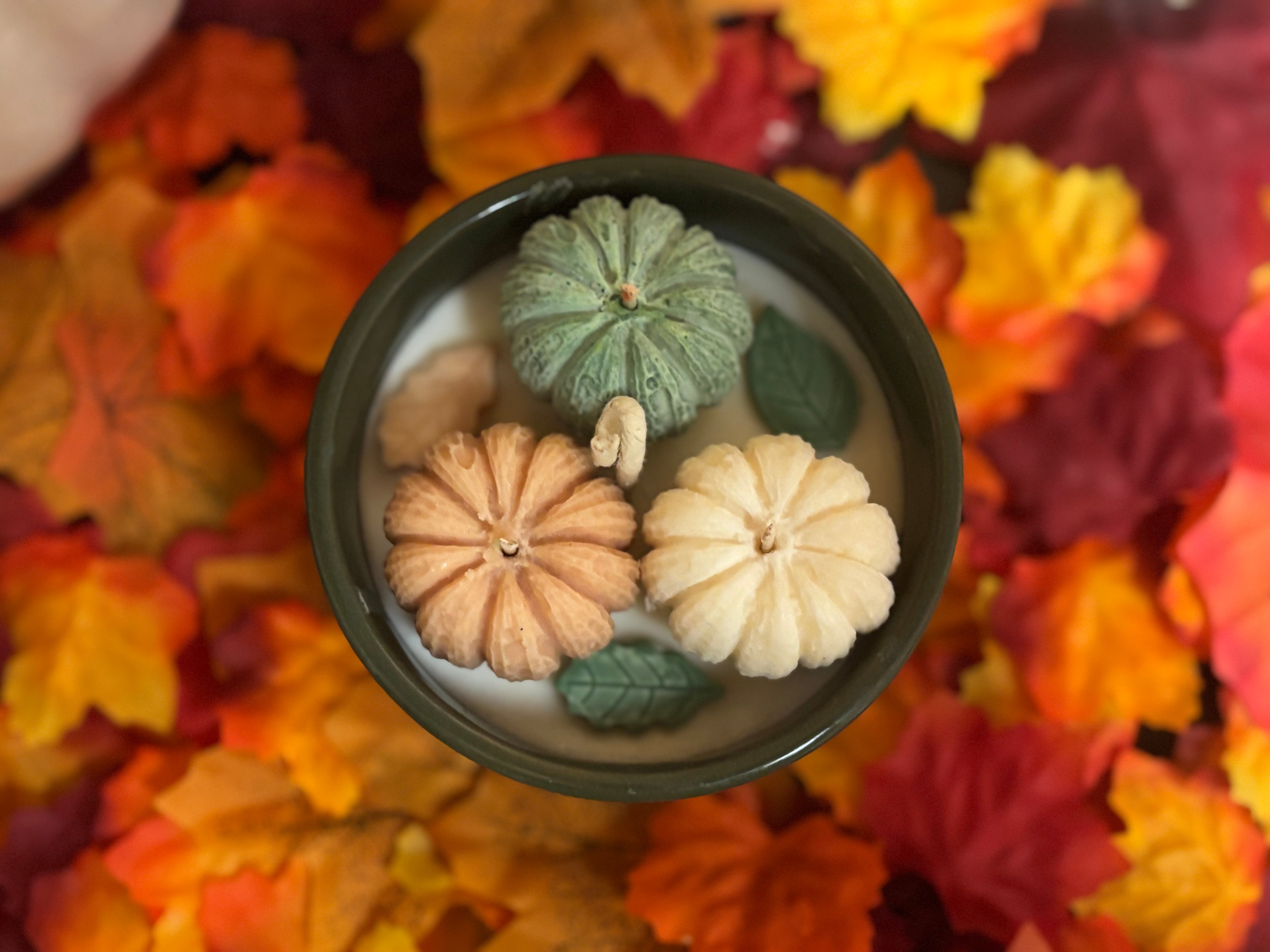 Pumpkin Patch (Decorative)